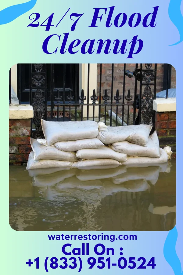 24/7 Flood Cleanup in Tivoli, NY