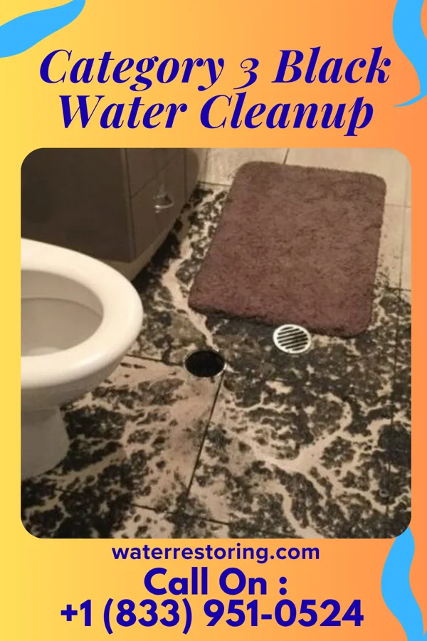 Category 3 Black Water Cleanup in Tivoli, NY