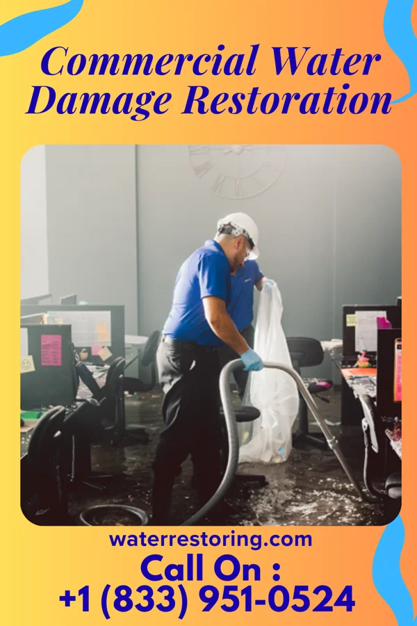 Commercial Water Damage Restoration in Tivoli, NY