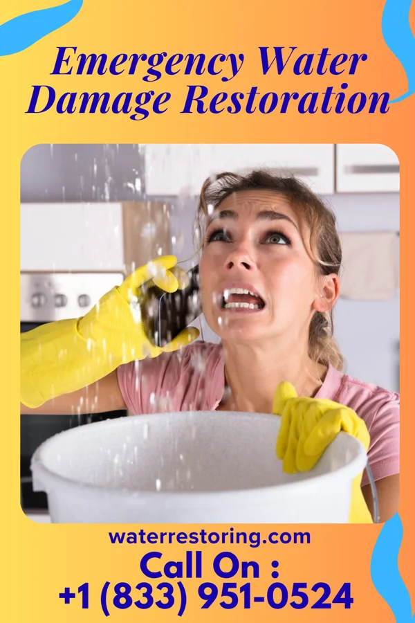Emergency Water Damage Restoration in Tivoli, NY