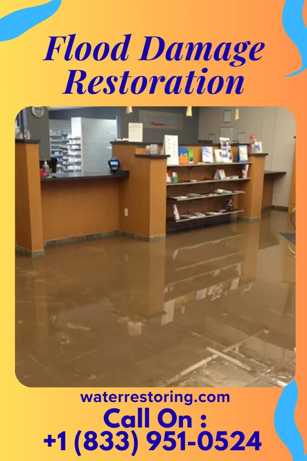 Flood Damage Restoration in Tivoli, NY