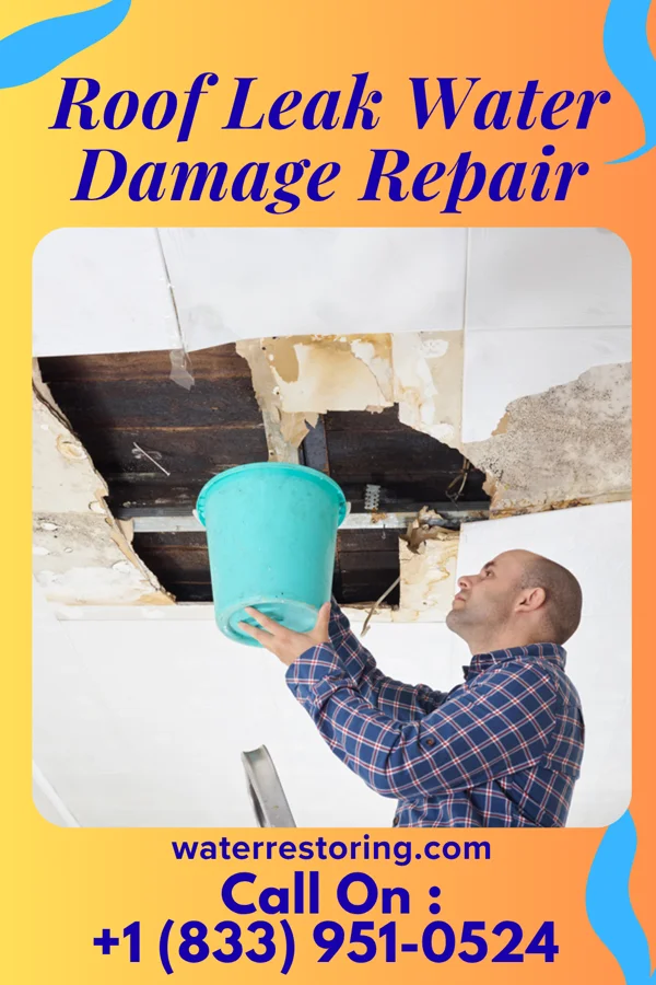 Roof Leak Water Damage Repair in Tivoli, NY
