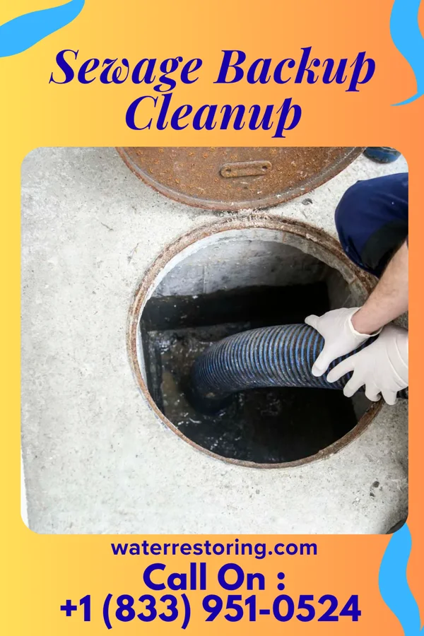 Sewage Backup Cleanup in Tivoli, NY