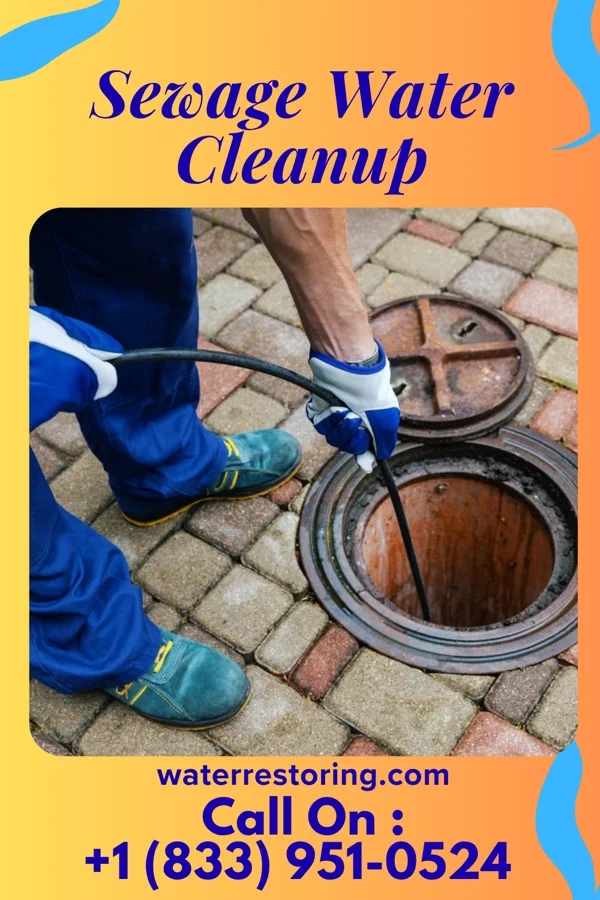 Sewage Water Cleanup in Tivoli, NY
